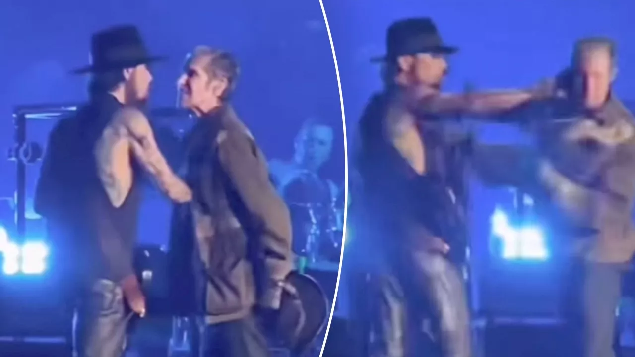 Jane's Addiction Members Brawl On Stage During Boston Concert