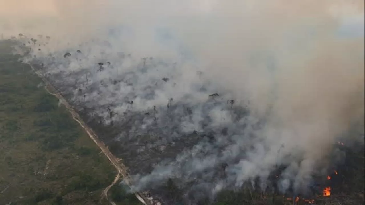 Wildfires sweep Amazon as Brazil suffers worst drought on record