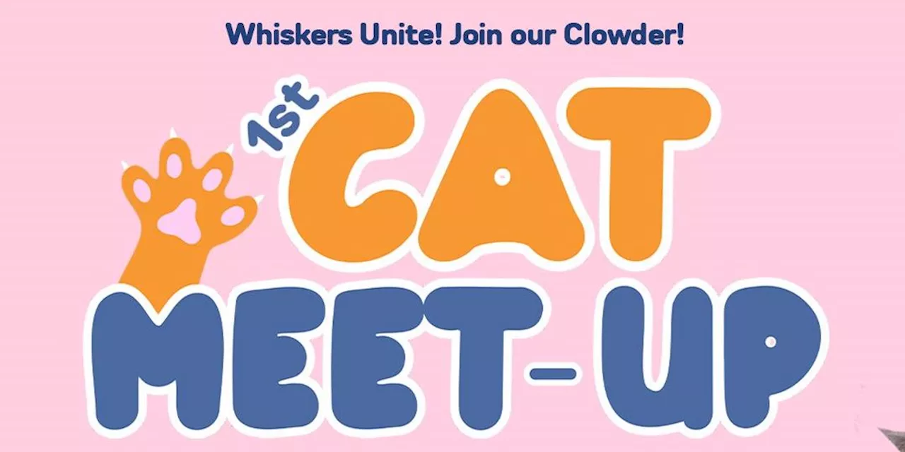 A cat meet-up is happening in Antipolo next weekend