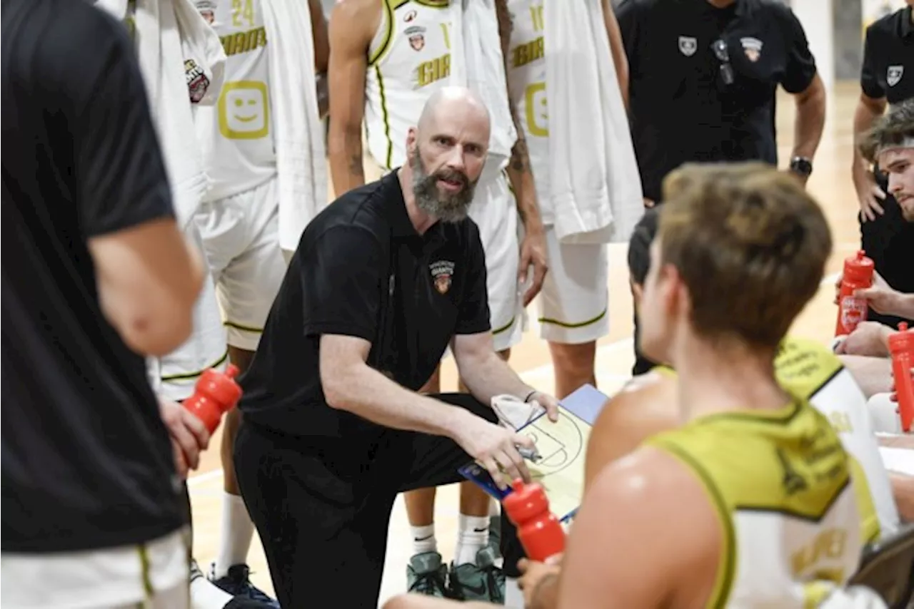 Gemiste start kost coach Hammink meteen de kop : Windrose Giants Antwerp gaat verder met eerste vrouwelijke hoofdcoach in hoogste basketbalklasse