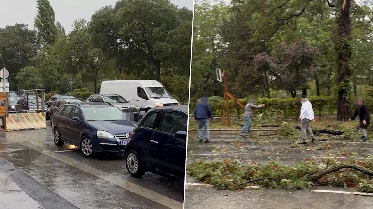 Unwetter erfasst Wien, Straße vollkommen blockiert