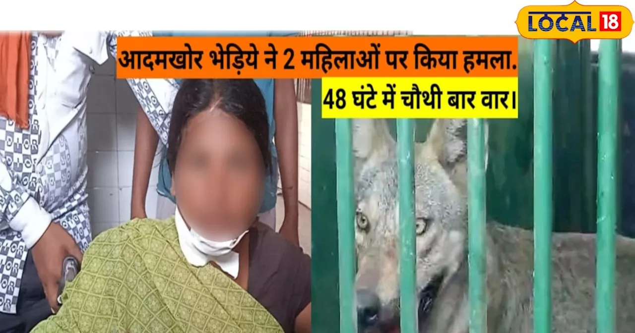 बहराइच में आदमखोर भेड़िये ने 2 महिलाओं पर किया हमला, 48 घंटे में चौथी बार वार