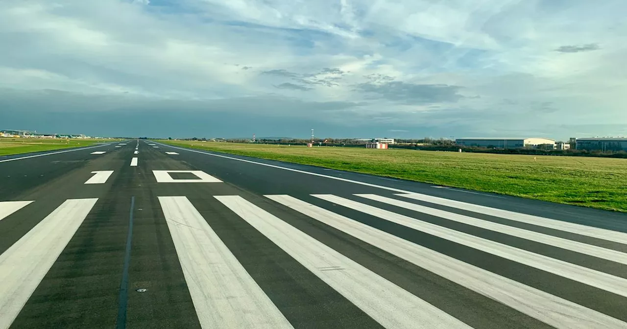 Departures stalled at Dublin Airport after dog spotted on runway