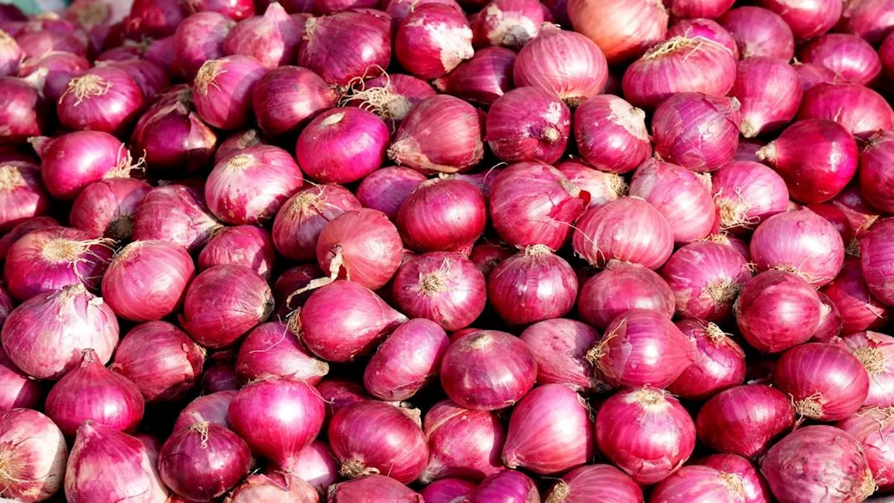 Onion Price in Ranchi: रांची में 8 जगहों पर 35 रुपये किलो प्याज, ऑफर सीमित है जल्द करें खरीदारी