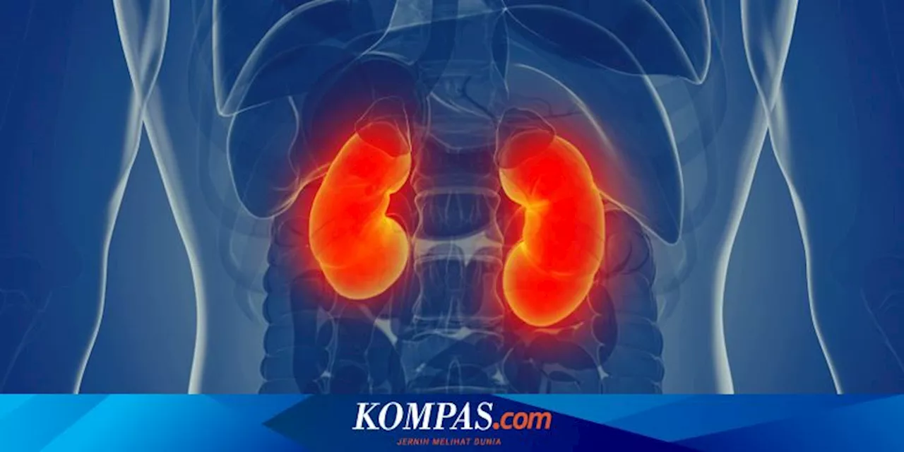 Benarkah Kurang Minum Air Putih Sebabkan Gagal Ginjal?