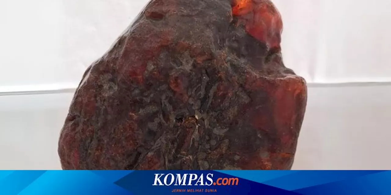 Penemuan Ambar Berharga yang Dikenal sebagai Rumanit