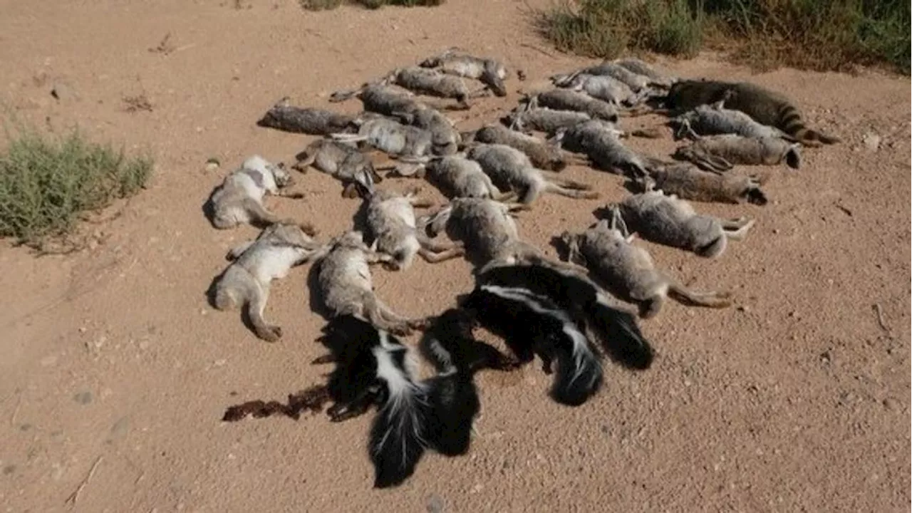 SunRiver residents concerned after images of neatly lined up animal carcasses circulate