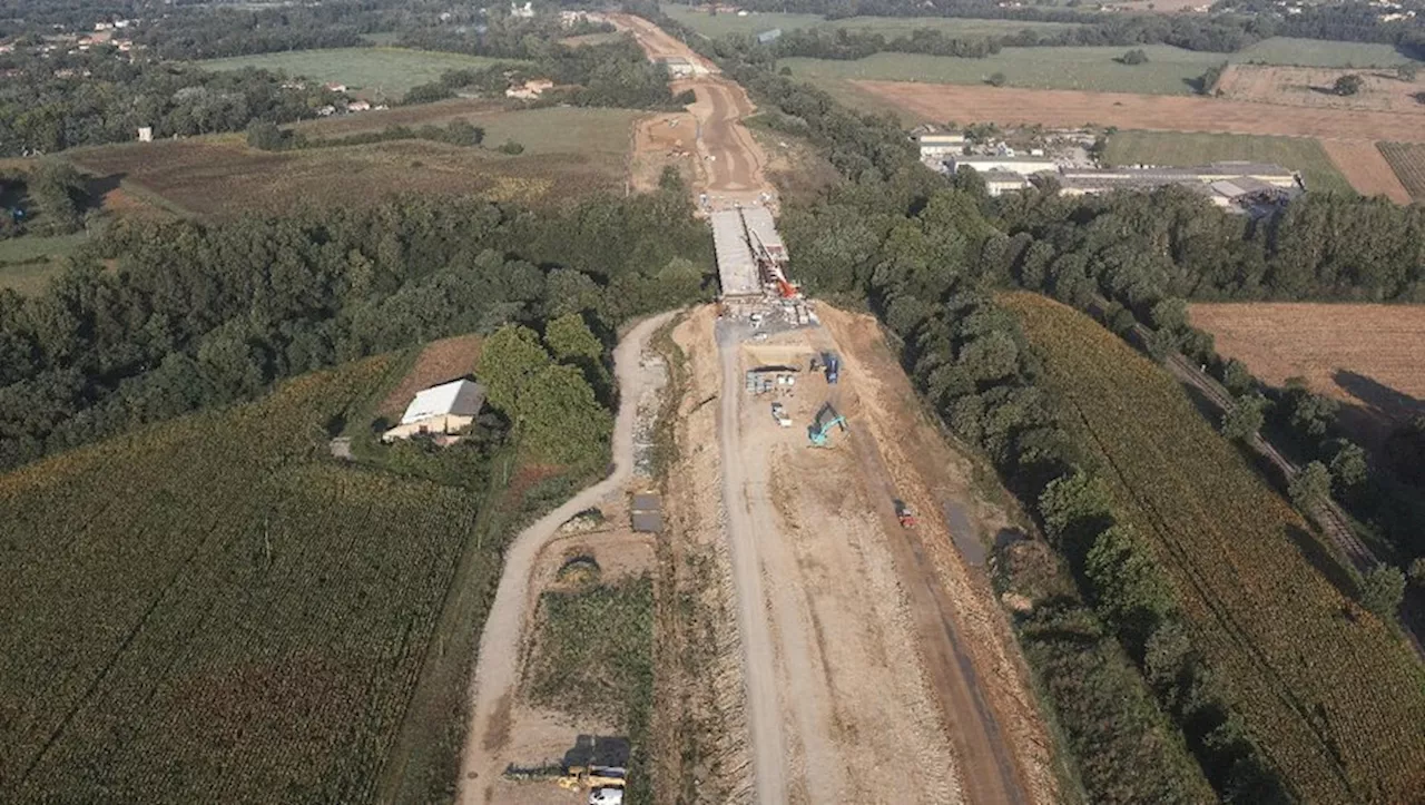 Autoroute A69 Toulouse-Castres : comment le concessionnaire compte compenser les arbres abattus sur le tracé