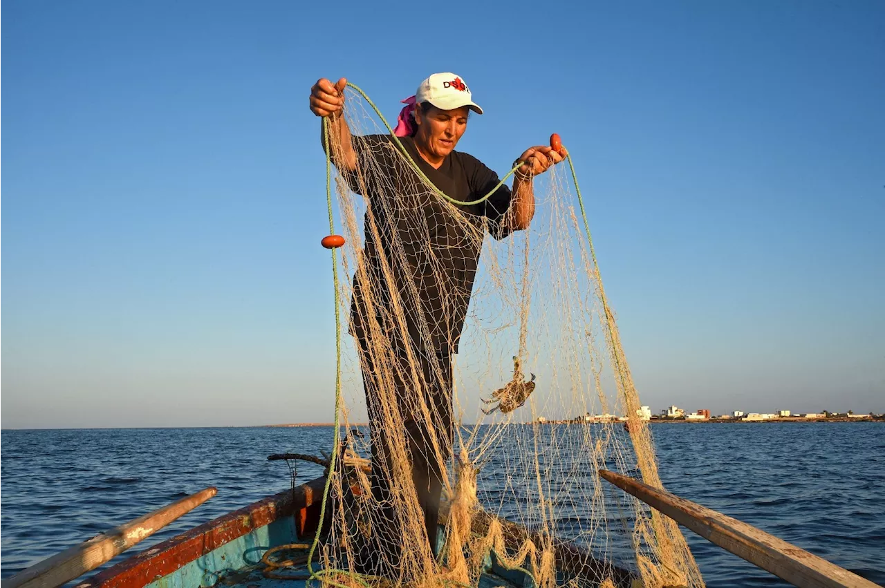 En Tunisie, des femmes pêcheuses combattent les inégalités et le changement climatique