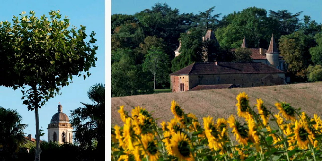 Vins de Côtes-de-gascogne : le bon plan gascon