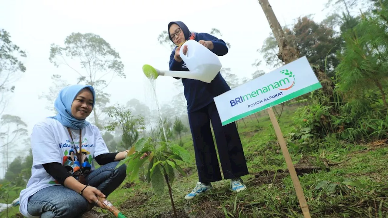 Dukung Net Zero Emission 2050, BRI Menanam Lebih dari 904 Ribu Bibit Pohon Produktif