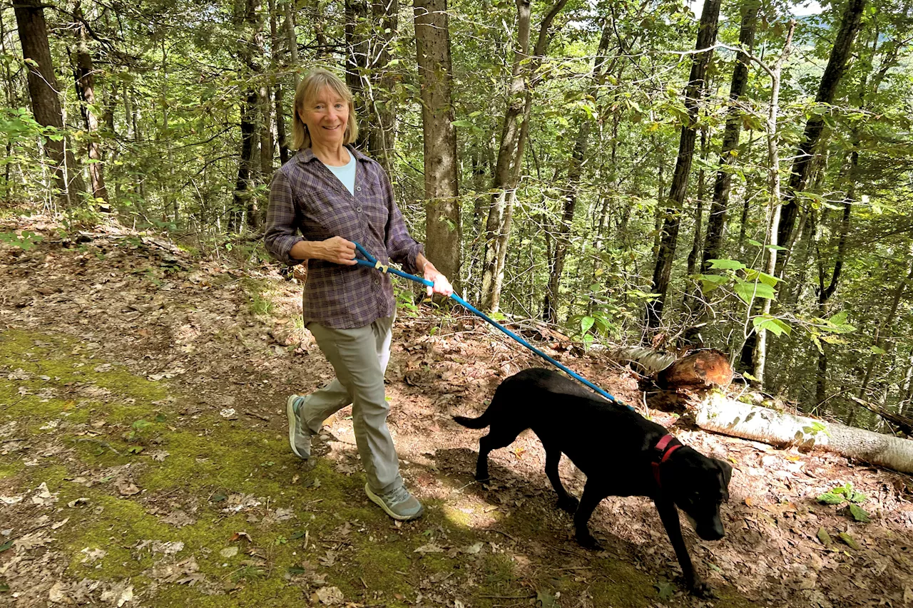 Dogs bring loads of joy but also perils on a leash