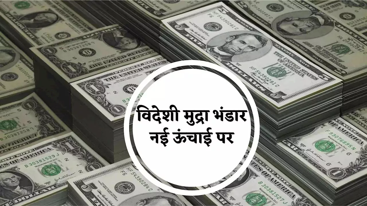 Foreign Exchange Reserve: लगातार चौथे सप्ताह बम-बम, भारत का विदेशी मुद्रा भंडार नई ऊंचाई पर, पाकिस्तान भी क्यों खुश है?