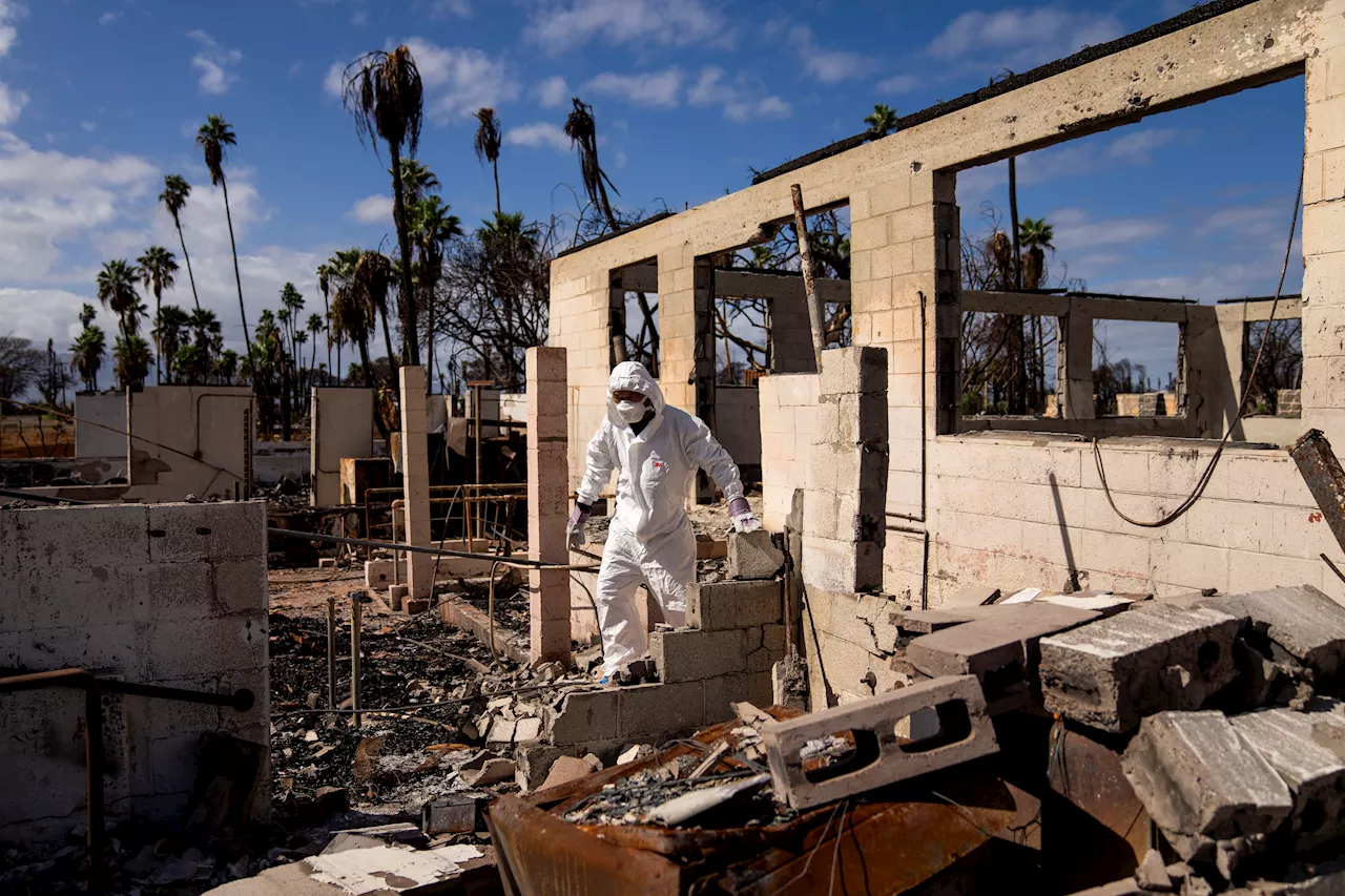 Hawaii Wildfire Report Finds Lack of Planning Crippled Response