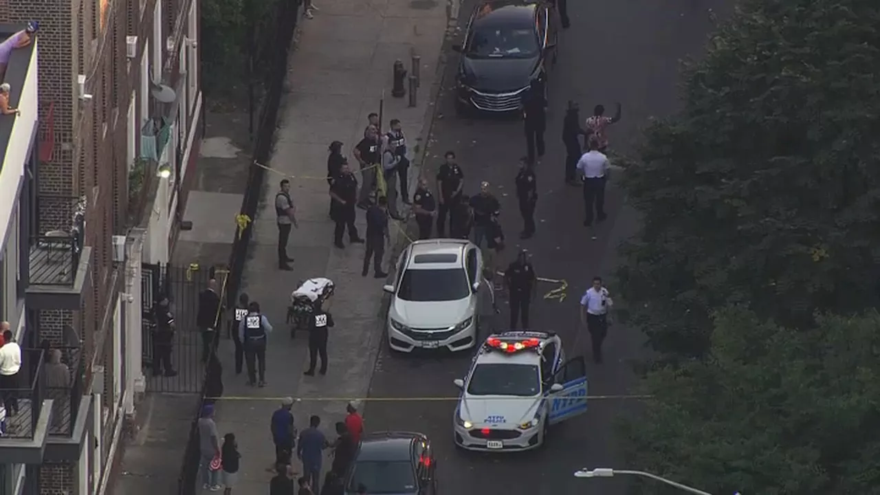 Man wanted in stabbings shot and killed by officers in Brooklyn after flashing knife: Police