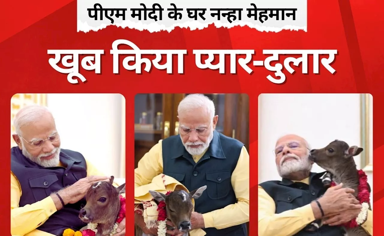 VIDEO: पीएम मोदी ने किया नन्हीं 'दीपज्योति' का वेलकम, चलना सिखाया और खूब लुटाया प्यार