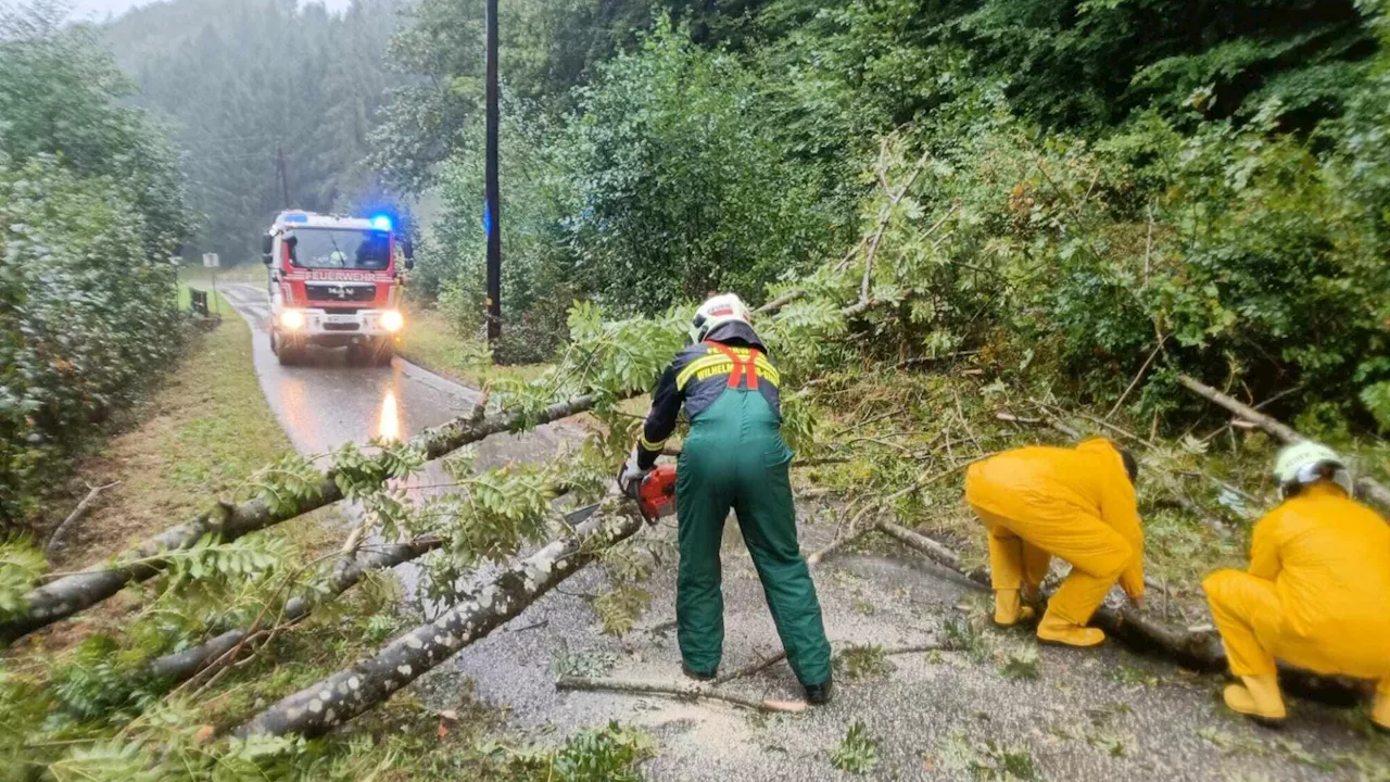 Mehr als 1.000 Feuerwehrleute in und um St. Pölten im Unwetter-Einsatz