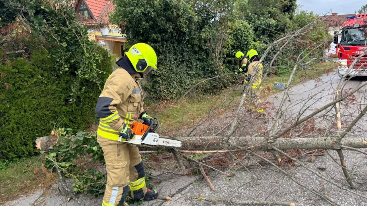 Sturm bringt Chaos in den Bezirk Wiener Neustadt