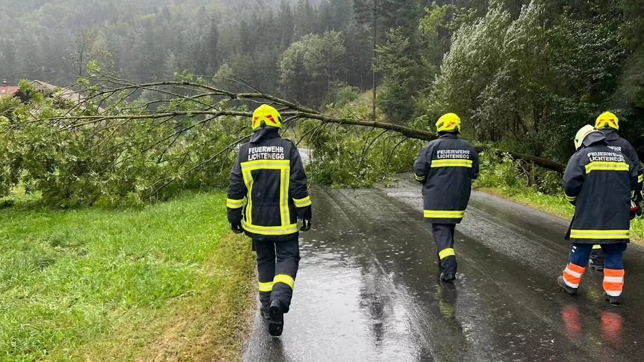 Sturm tobt über Stadt und Bezirk Wr. Neustadt: Zahlreiche Einsätze