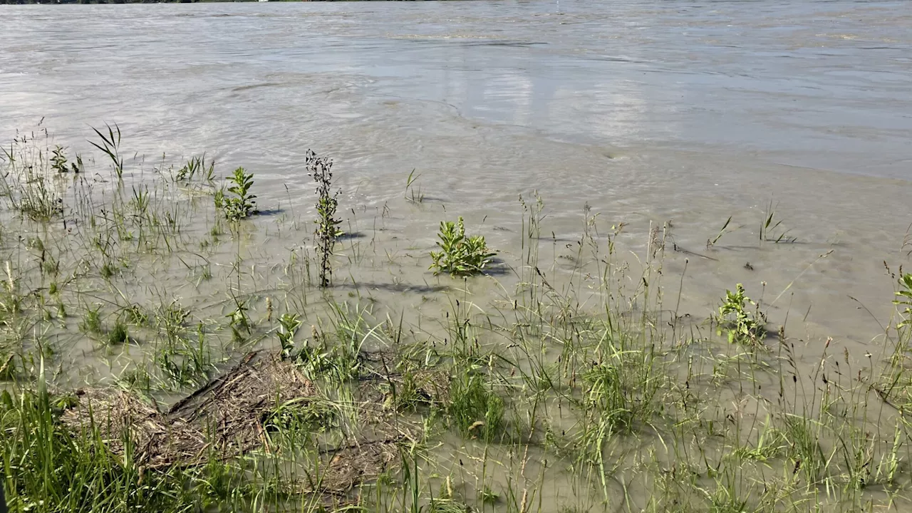 Unwetter in Klosterneuburg: Donau könnte auf 7 Meter ansteigen