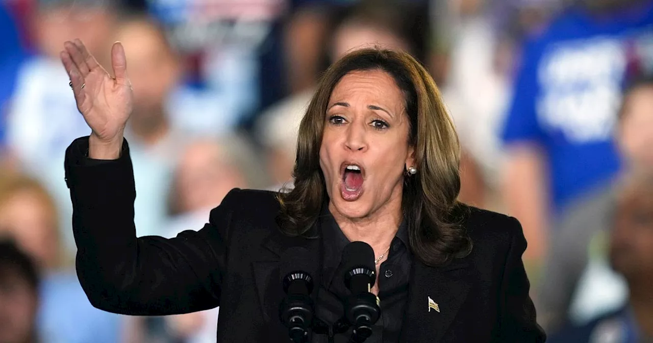 Kamala Harris: Will niemandem die Waffen wegnehmen