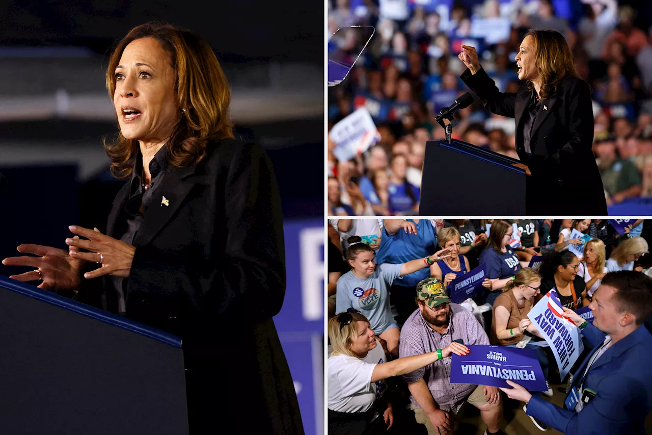 Kamala Harris still touts Goldman Sachs review of her economic plan that firm's CEO dismissed