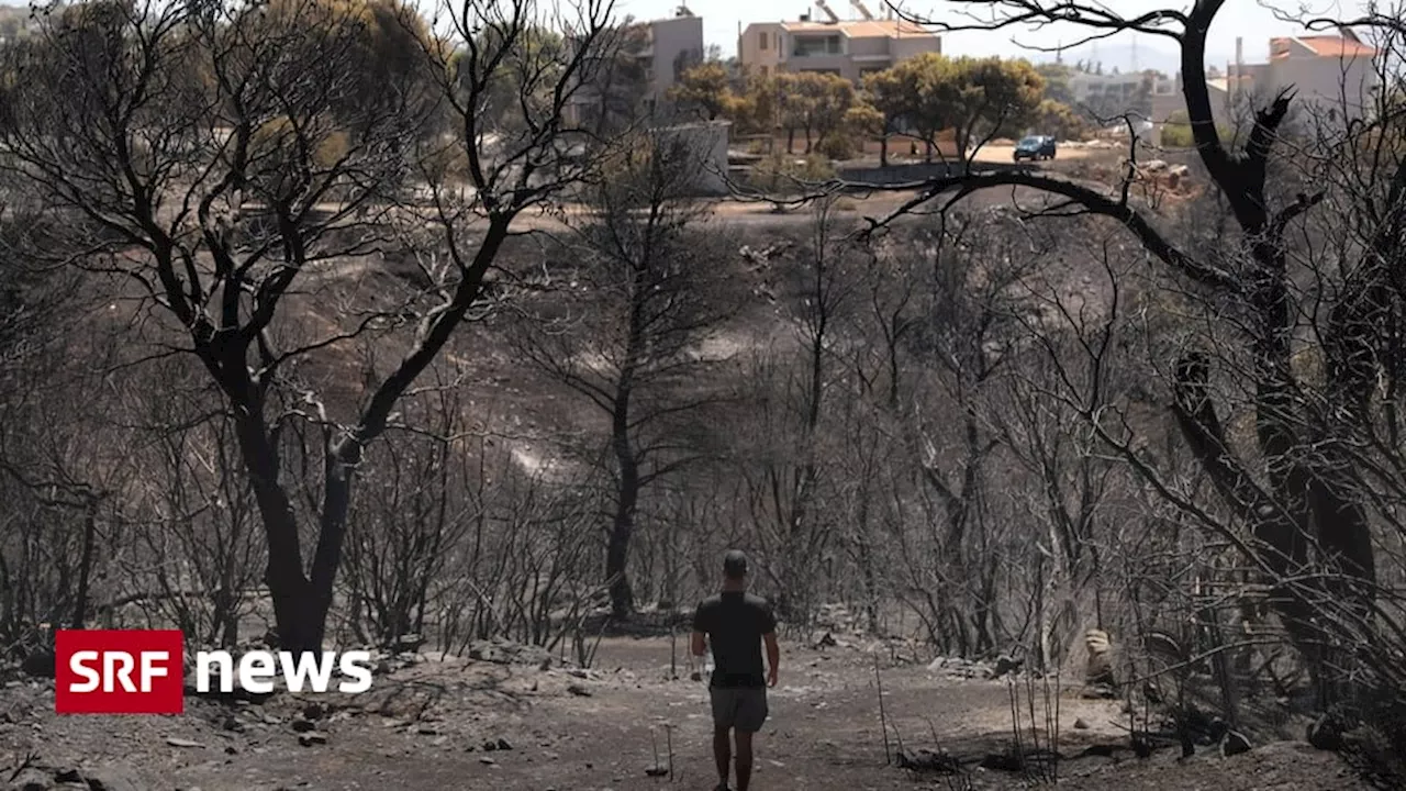 Waldbrände Athen – einen Monat danach