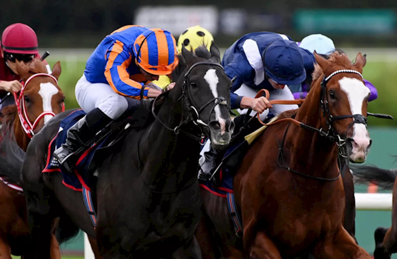 Economics edges epic battle to claim Irish Champion Stakes at Leopardstown