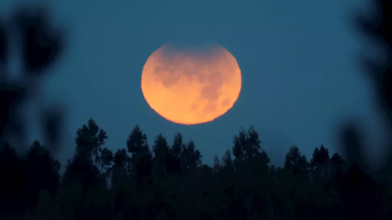 Double delight as rare supermoon AND partial lunar eclipse set to grace