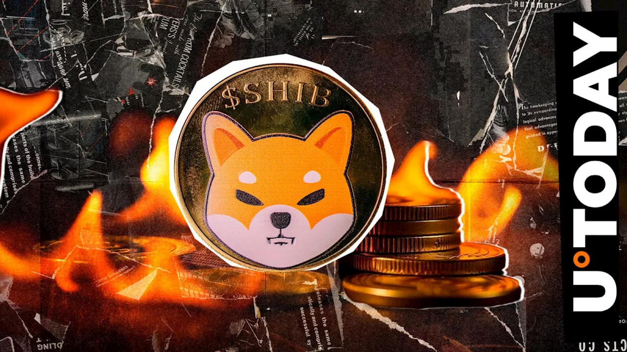 Shiba Inu Burn Rate Soars 1,009% Amid Price Surge