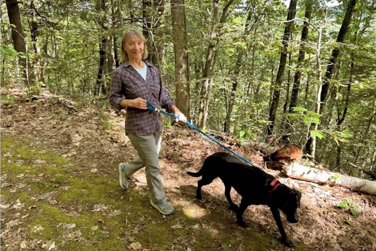 Dogs bring loads of joy but also perils on a leash