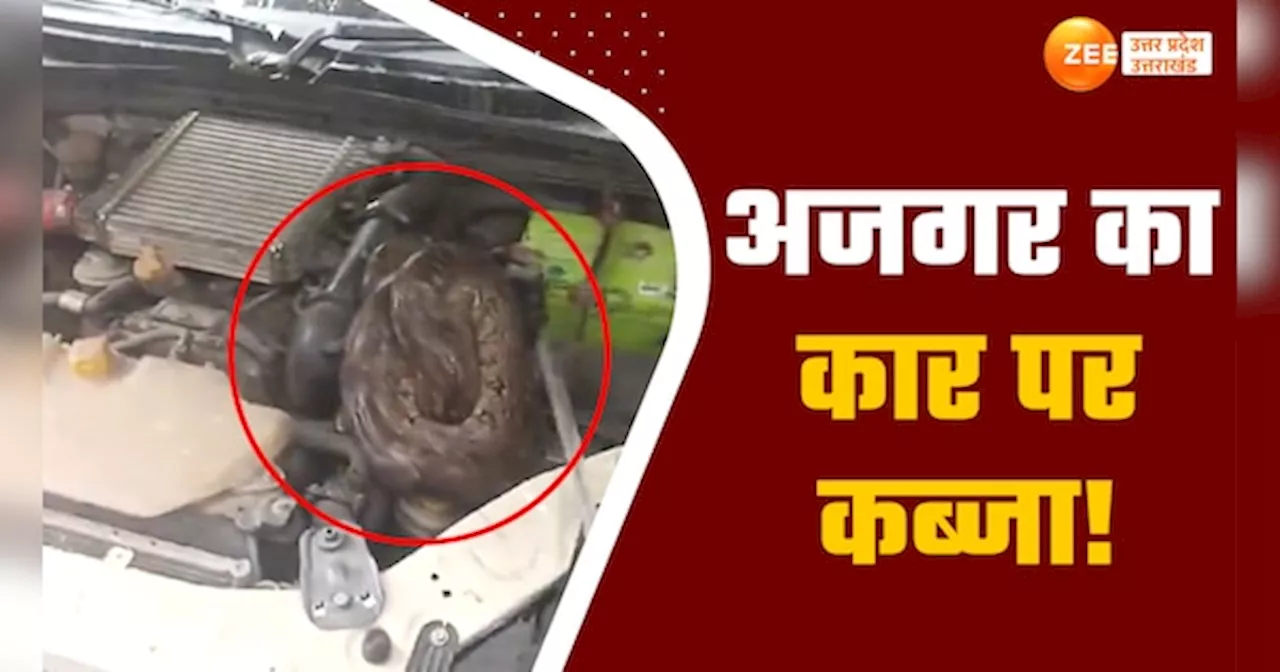 Video: कार के इंजन से लिपटा बैठा था विशालकाय अजगर, मिस्त्री ने बोनट खोला तो मच गई अफरी-तफरी