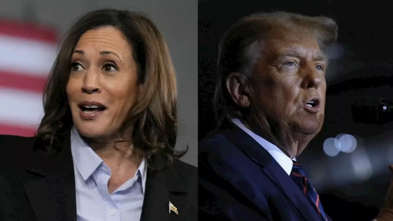 Harris seen as debate winner while maintaining slight lead over Trump: POLL