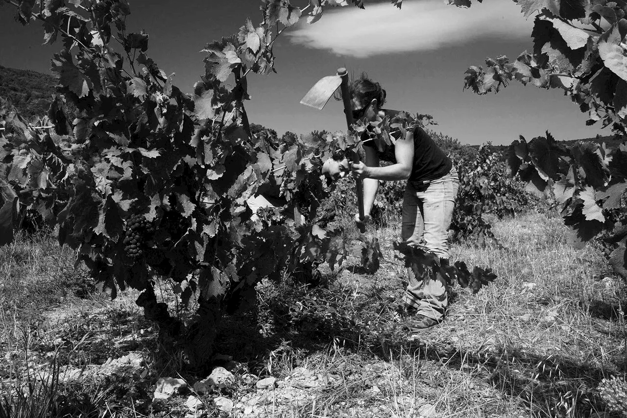 Domaine des Deux Clés : Un Corbières Rouge aux notes épicées et fruitées