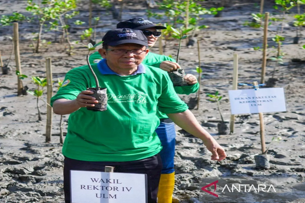 ULM canangkan gerakan menanam mangrove di lahan 611 hektare