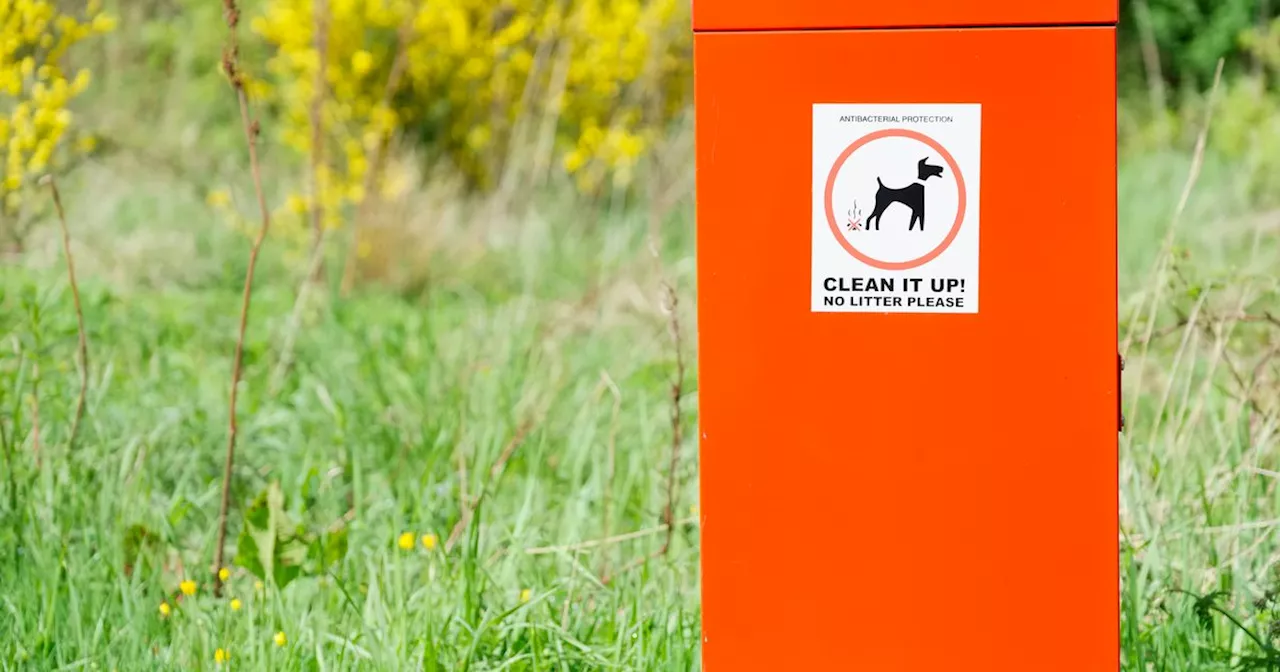 City Hall asks should dog fouling be tackled with more bins or behaviour change