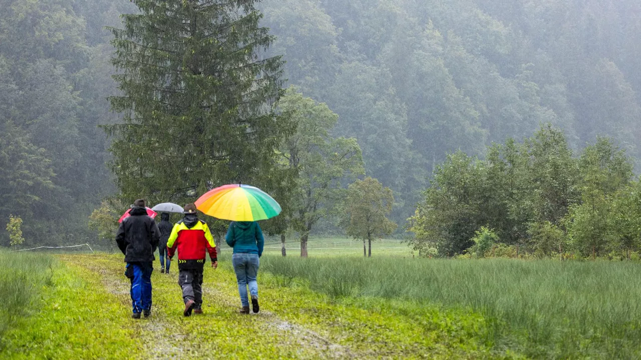 Starkregen führt zu Überschwemmungen und Schneebruch in Bayern