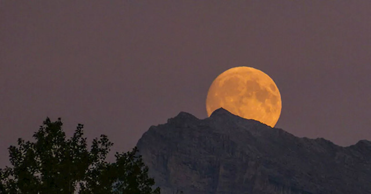 Full ‘Harvest’ Moon and Partial Lunar Eclipse Will Awe Viewers Tuesday