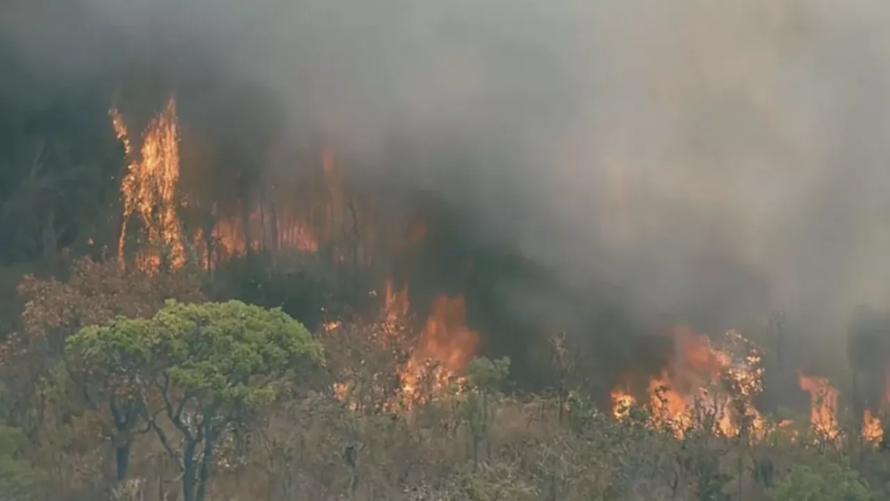 Incêndio de grandes proporções atinge Parque Nacional de Brasília