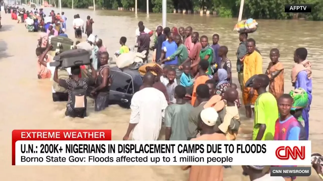 Over 270 Inmates Escape Nigerian Prison After Flooding