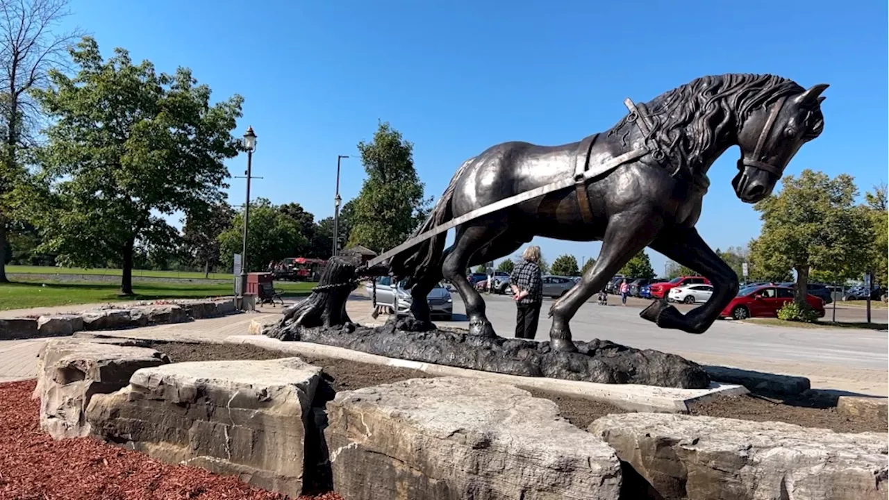 New Canadian Horse statue at Upper Canada Village in Morrisburg, Ont.