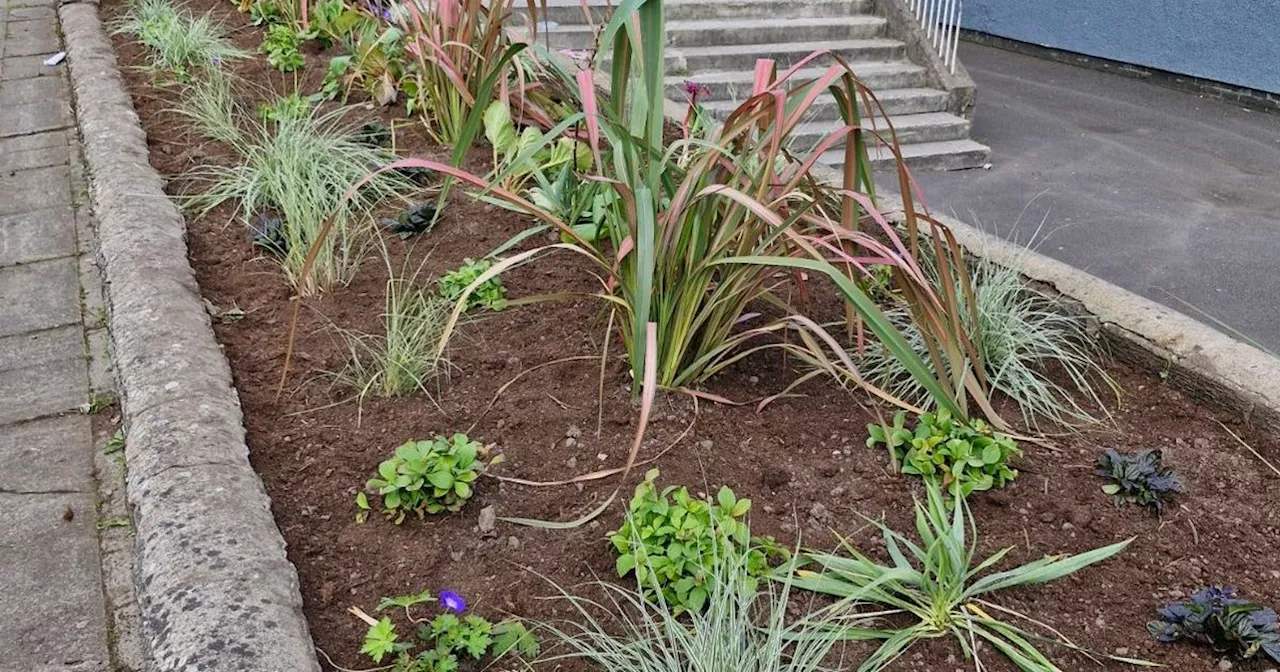 Area of East Kilbride brightened up by several beautiful floral displays