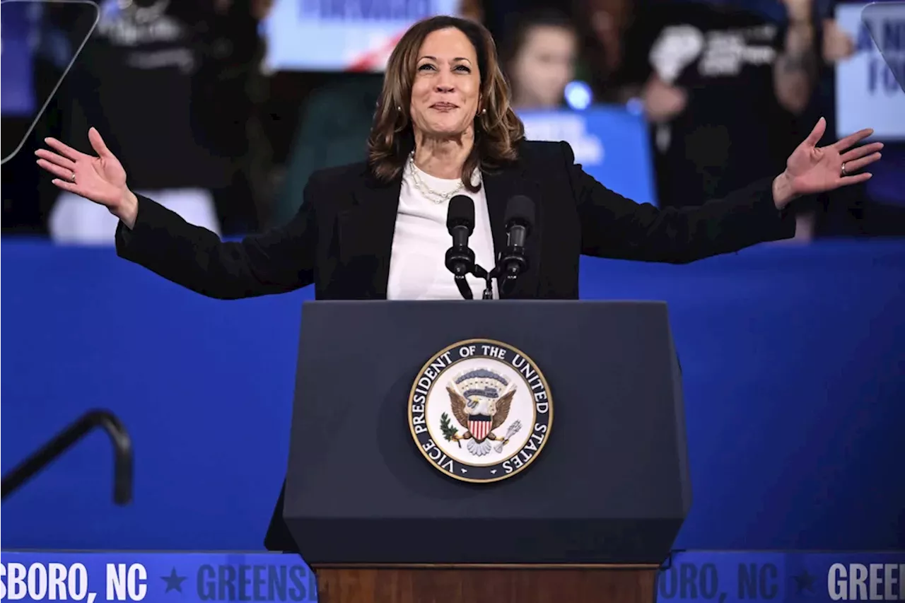 Why Harris’s risk-free campaign is actually a huge risk