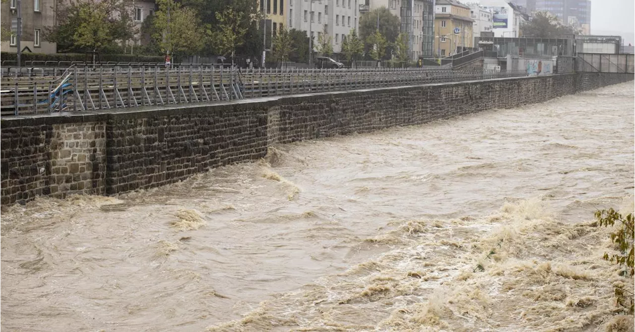 Hochwasser: Land unter in Wien