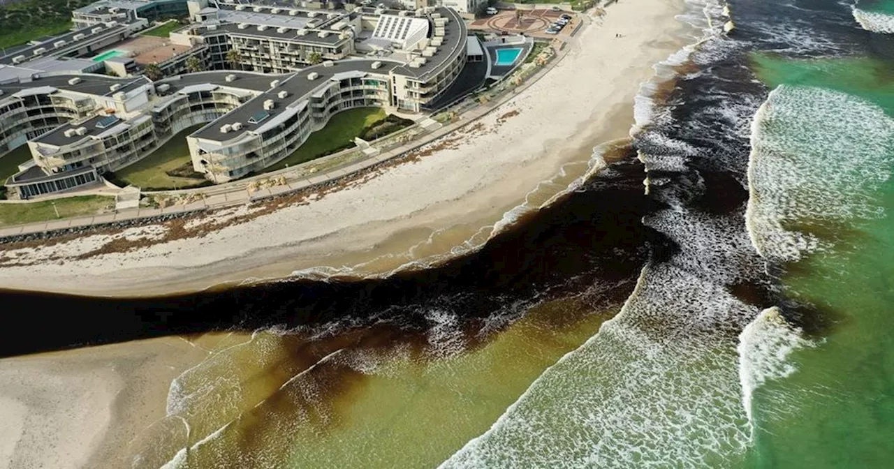 Milnerton Residents Express Concerns Over Sewage Stench at Lagoon Beach