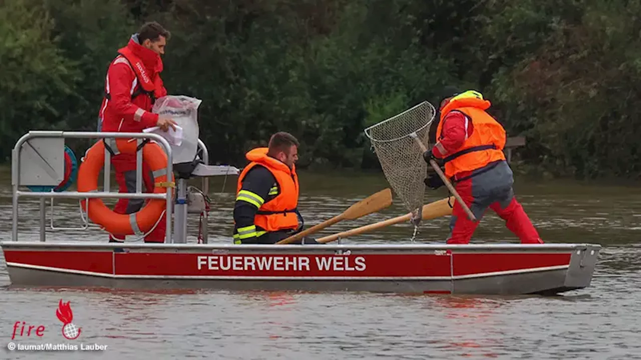 Oö: Feuerwehr fischt in Wels bündelweise Geldscheine aus dem Hochwasser!