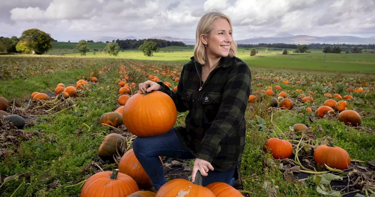 All the pumpkin patches open near Glasgow this Halloween for spooky family fun