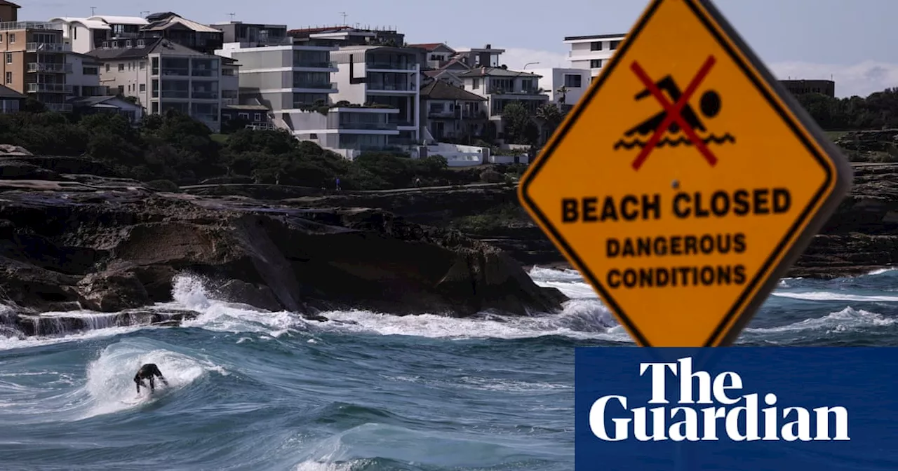 Woman killed by falling tree branch in Sydney as wild winds hit NSW coast