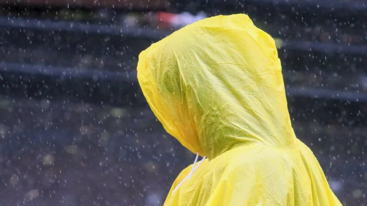 Onda tropical 11 y tormenta Ileana dejará a estos estados con lluvias intensas este domingo 15 de septiembre