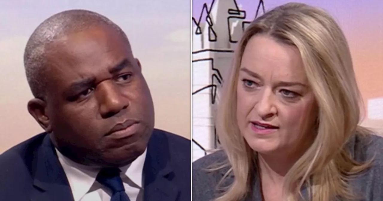 David Lammy Refuses To Condemn Donald Trump For Claiming Immigrants Eat Pets